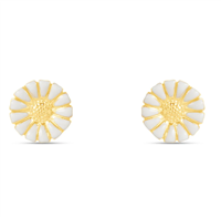 Orecchini Stroili Oro Donna in Argento 1686614 - 1686614
